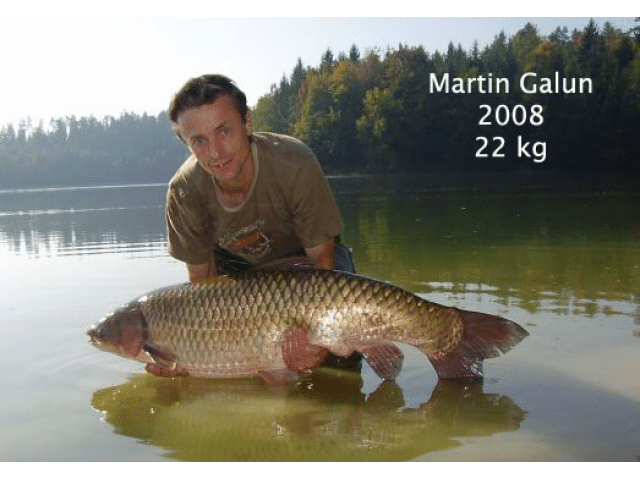 Šmartinsko jezero - Amur 22 kg